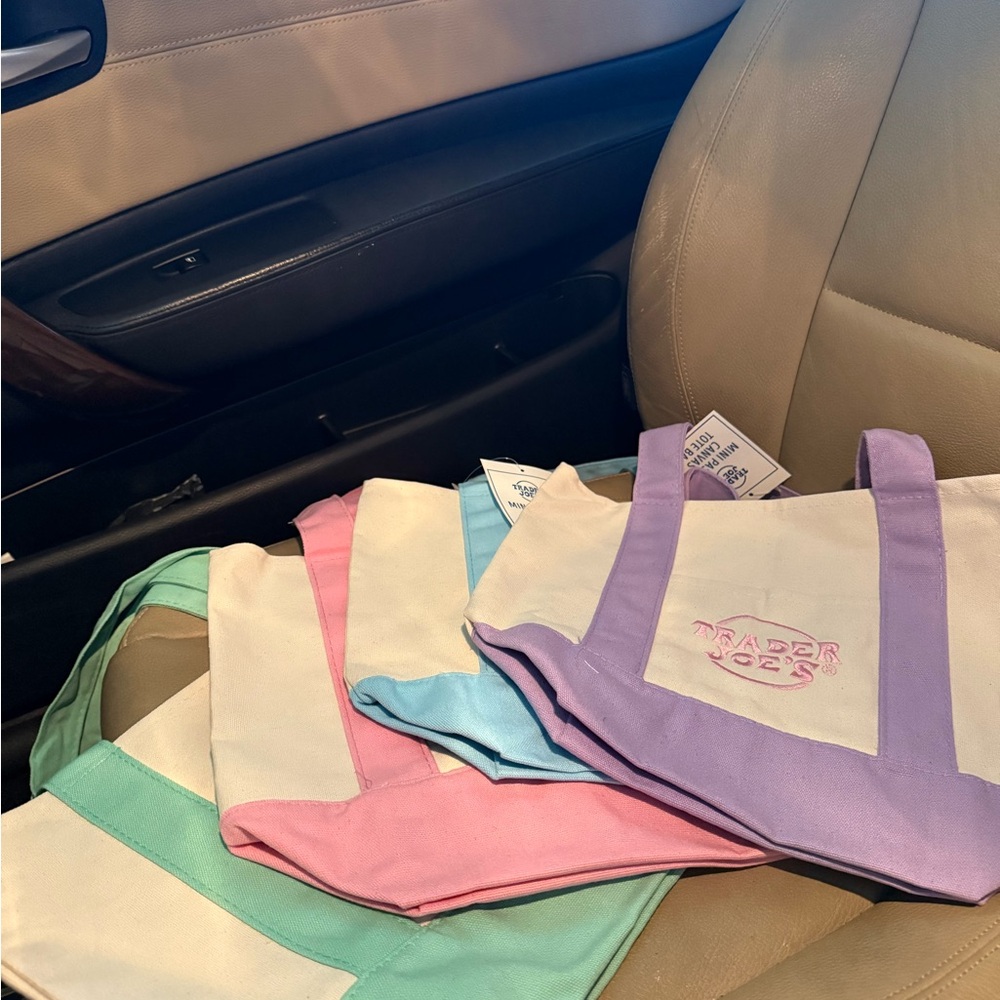 Multicolor Tote Bag Set